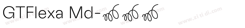 GTFlexa Md字体转换